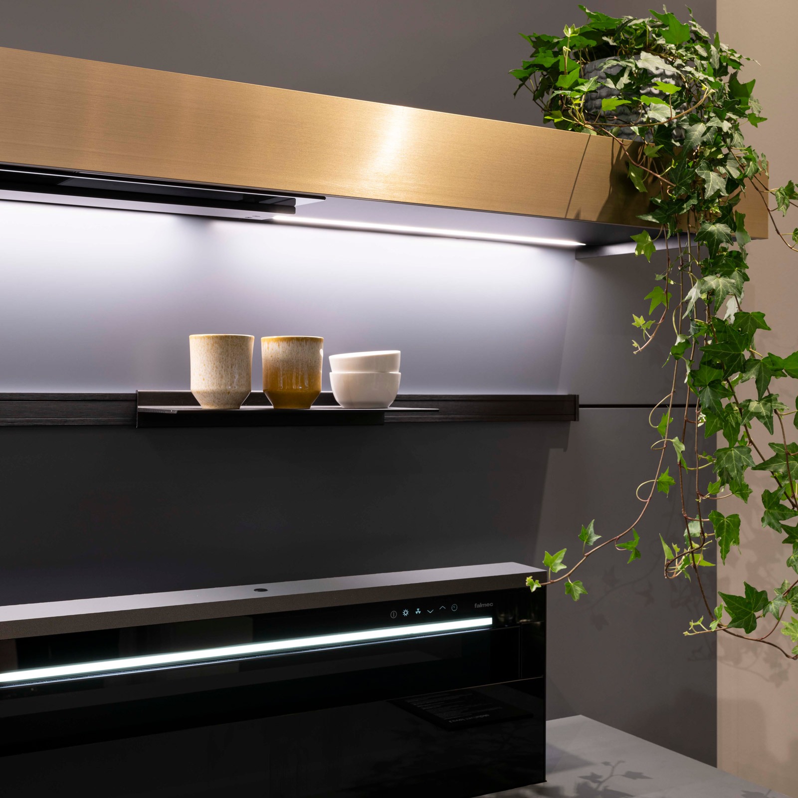 Falmec S.p.a. | Modern Cooker Hoods, Filtering Hood, Air Purifying Hood