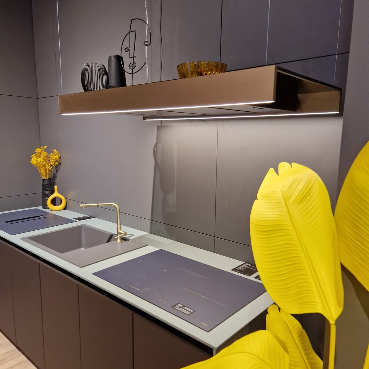 Falmec S.p.a. | Modern Cooker Hoods, Filtering Hood, Air Purifying Hood