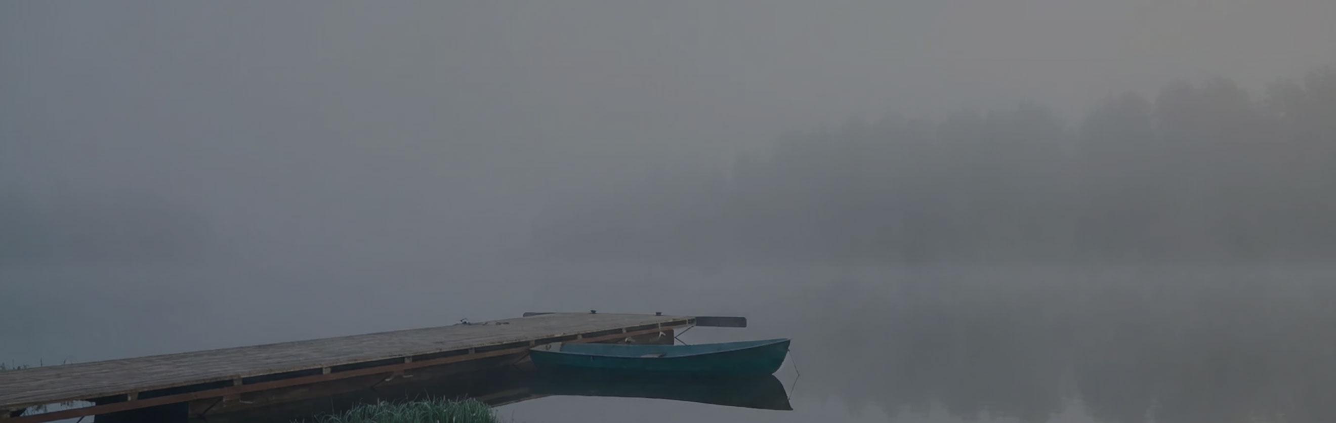 Falmec S.p.a. | Modern Cooker Hoods, Filtering Hood, Air Purifying Hood